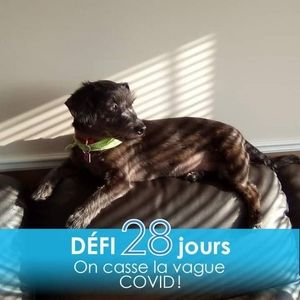 Meet your Posher, Christiane